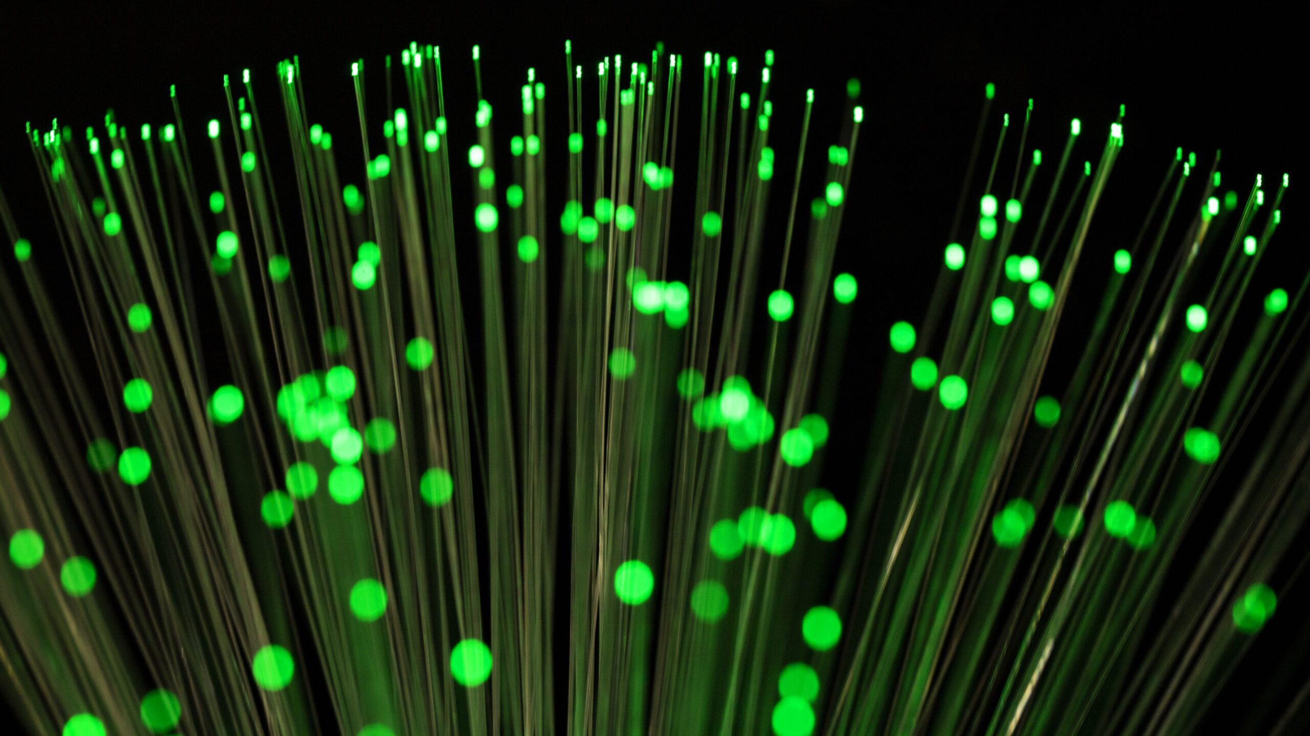 Can FTTH Networks Have a Positive Impact on Sustainability?